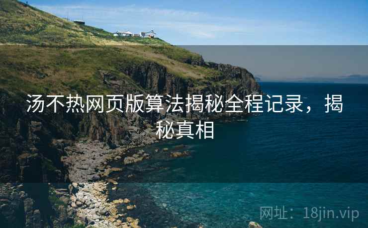 汤不热网页版算法揭秘全程记录，揭秘真相