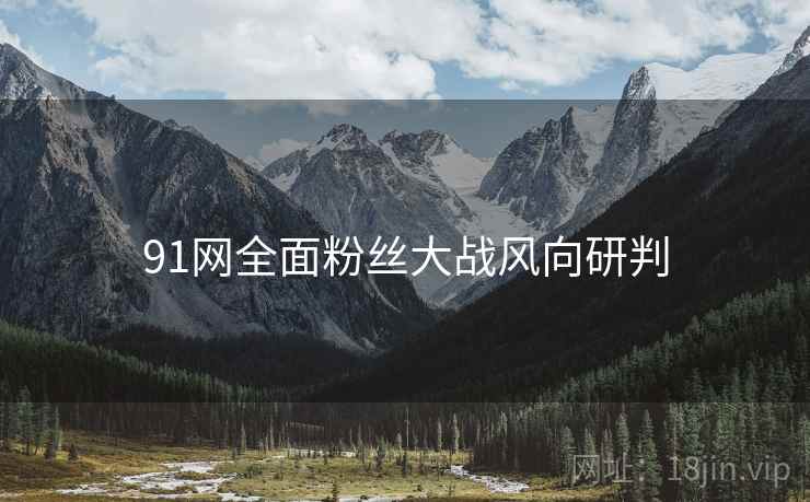 91网全面粉丝大战风向研判